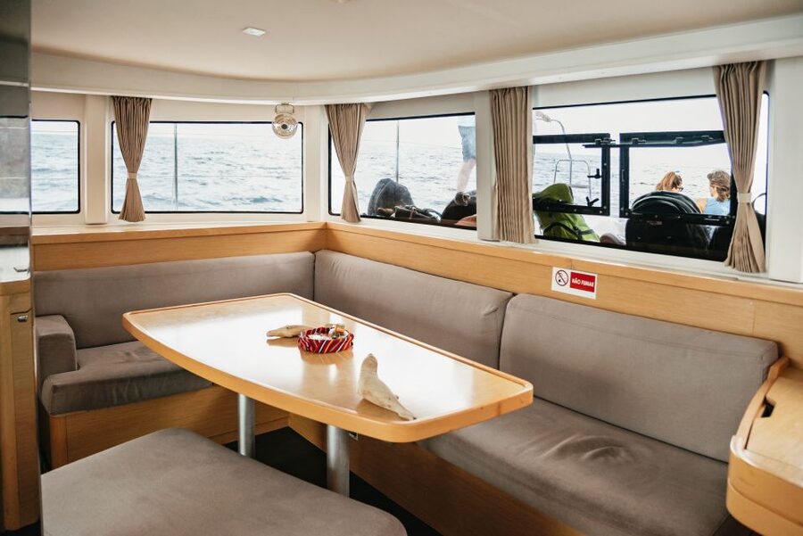 Funchal Bay: Dolphin & Whale Watch Luxury Catamaran Cruise - Who will enjoy this three-hour cruise?