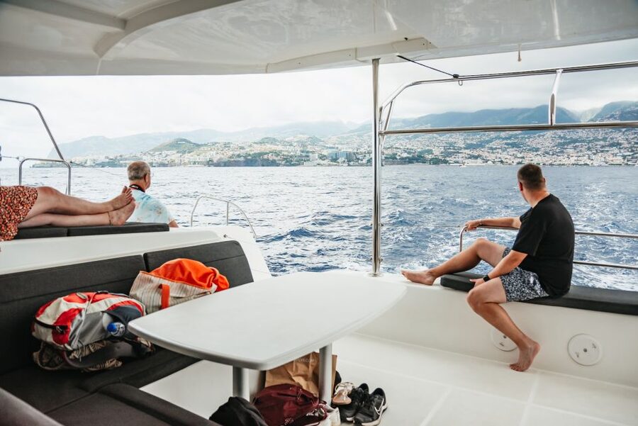 Funchal Bay: Dolphin & Whale Watch Luxury Catamaran Cruise - Looking for dolphins and whales offshore