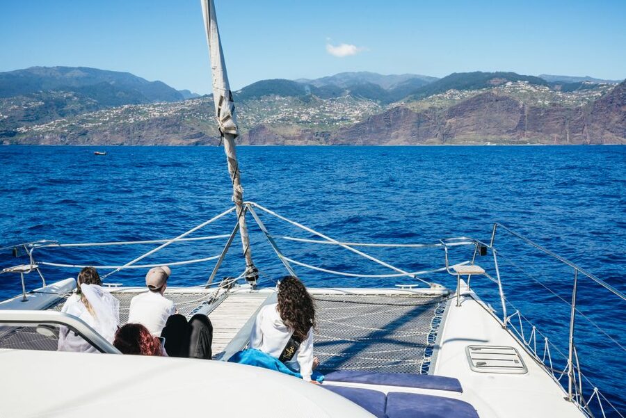 Funchal: Dolphin and Whale Watching by Luxury Catamaran - Should you book the Magic Dolphin catamaran?