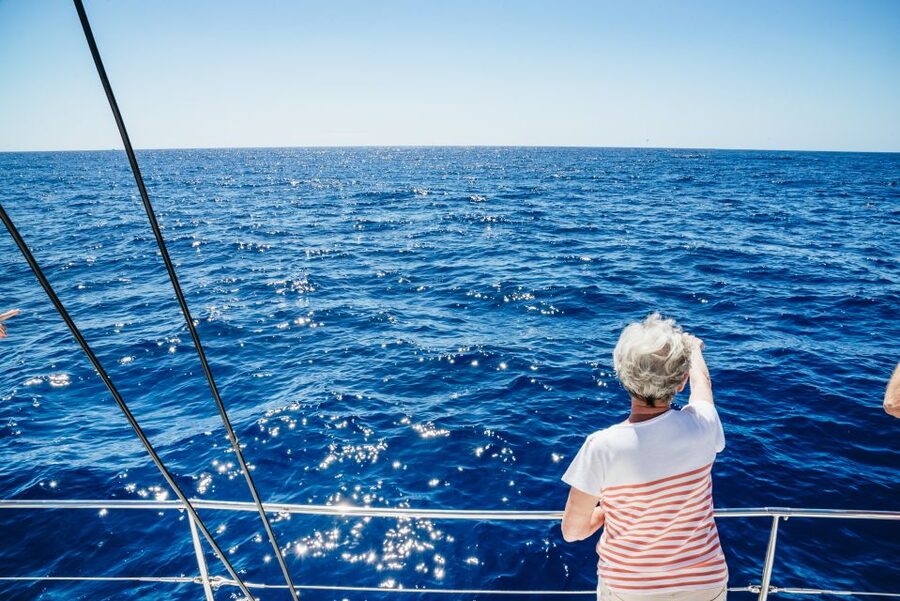 Funchal: Dolphin and Whale Watching by Luxury Catamaran - Leaving Funchal Marina on a luxury catamaran