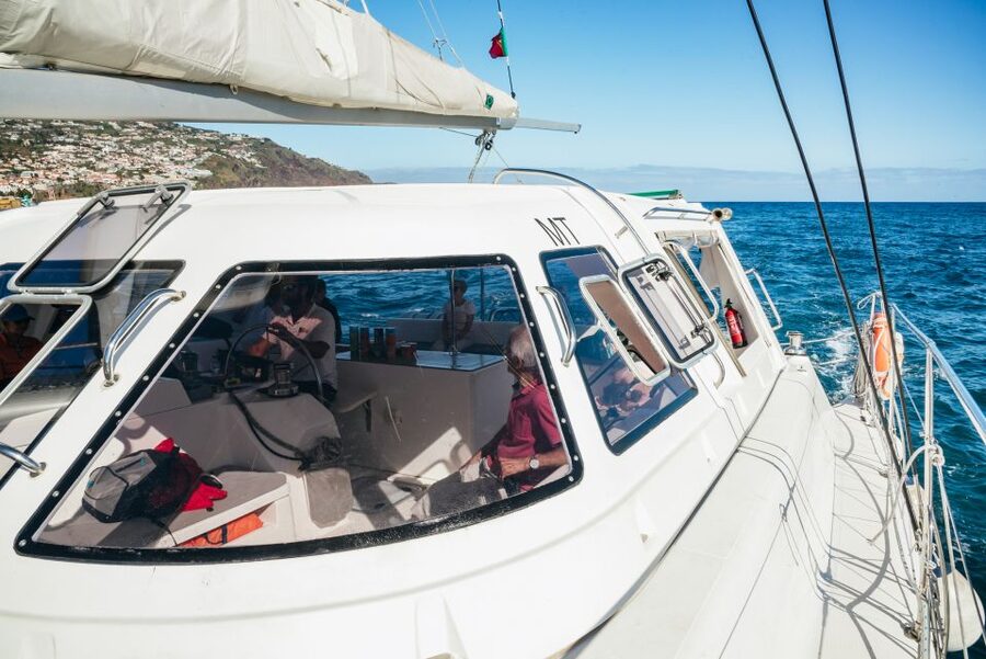 Funchal: Dolphin and Whale Watching by Luxury Catamaran - Learning about Madeira’s ocean ecology