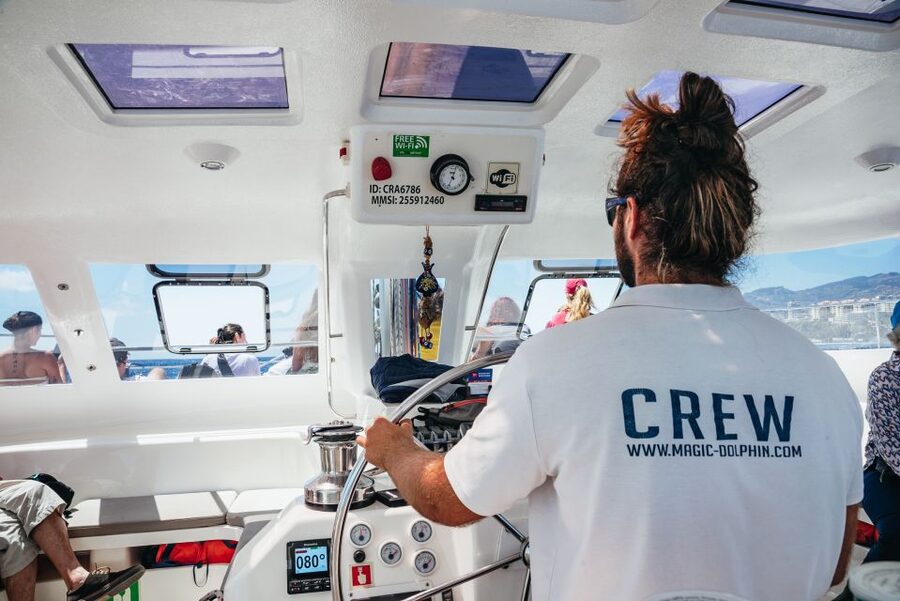 Funchal: Dolphin and Whale Watching by Luxury Catamaran - The return along Madeira’s coast