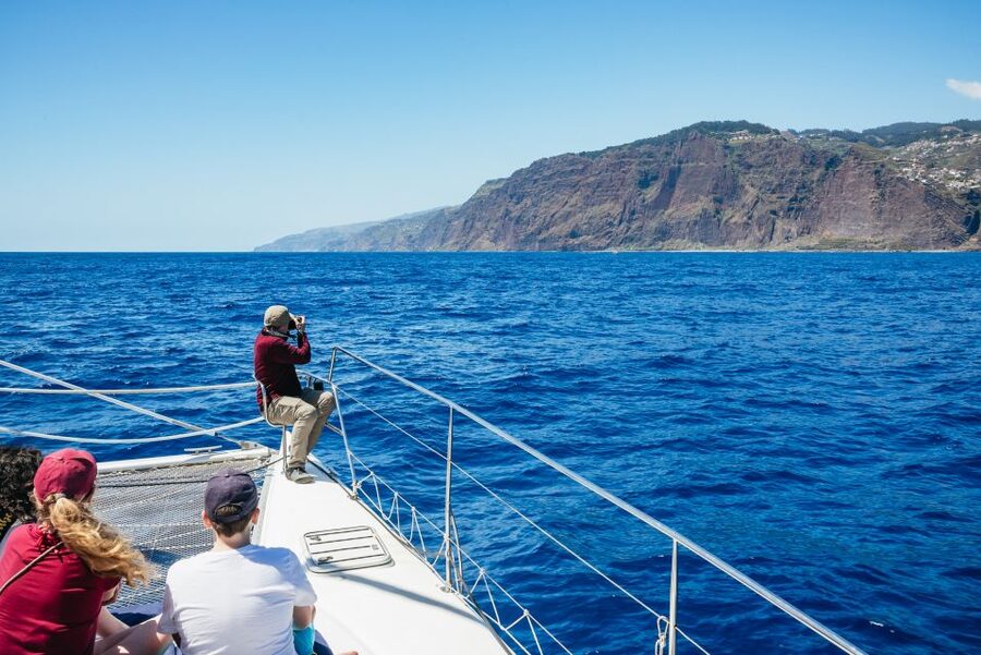 Funchal: Dolphin and Whale Watching by Luxury Catamaran - Who will enjoy this trip most?
