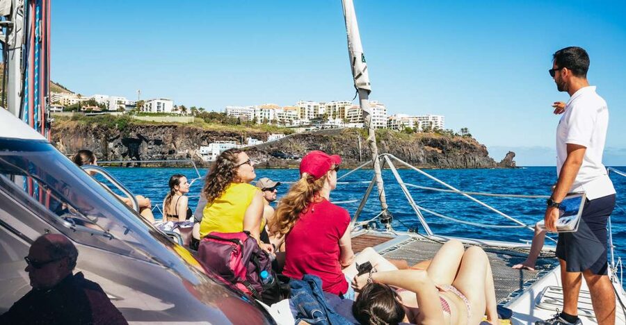 Funchal: Dolphin and Whale Watching by Luxury Catamaran - Searching Funchal Bay for dolphins and whales