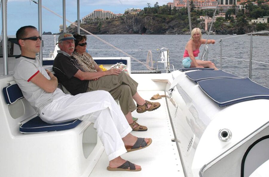 Funchal: Dolphin and Whale Watching Catamaran Cruise - Searching Madeira’s blue water for marine life