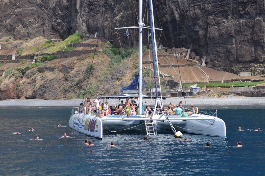 Funchal: Dolphin and Whale Watching Catamaran Cruise - Why the wildlife rules matter