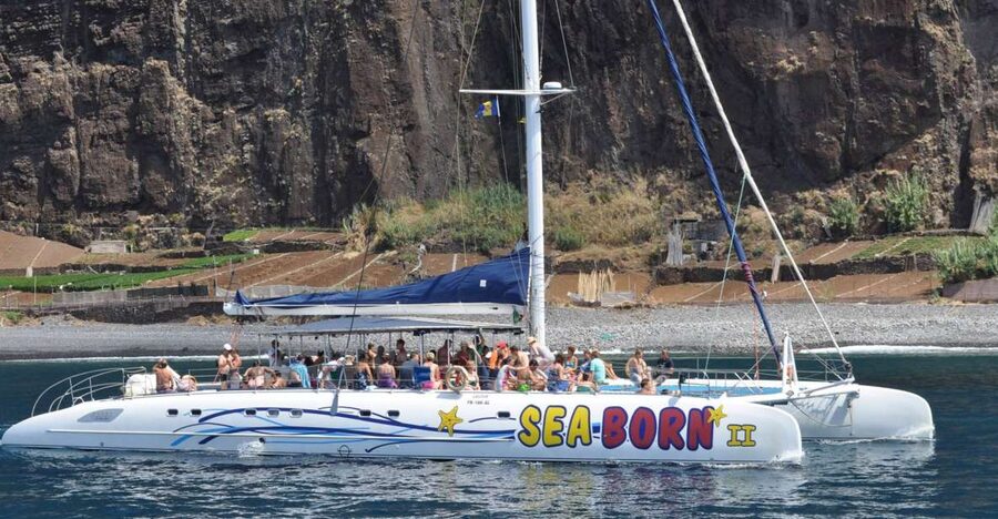 Funchal: Dolphin and Whale Watching Catamaran Cruise - The crew and the tone onboard