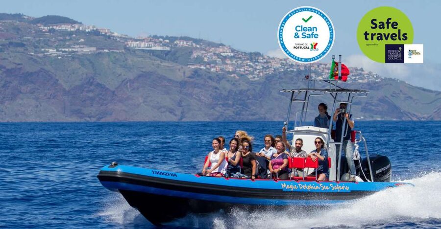 Funchal: Dolphin and Whale Watching Cruise - Why this small Funchal boat is different