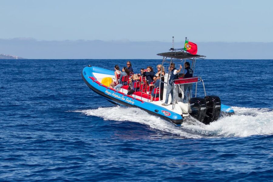 Funchal: Dolphin and Whale Watching Cruise - The speedboat ride is part of the attraction