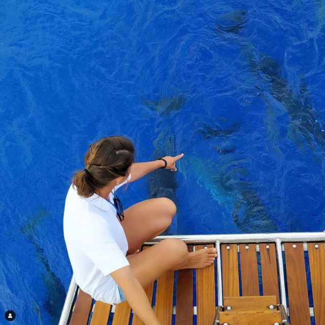 Funchal: Dolphin and Whale Watching Sailing Trip - A small yacht with a better feel than a crowded cruise