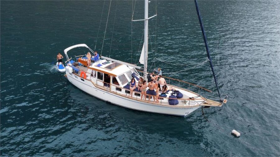 Funchal: Dolphin and Whale Watching Sailing Trip - Leaving Funchal with the island behind you