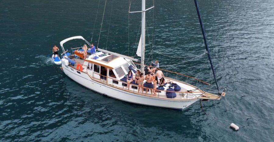 Funchal: Dolphin and Whale Watching Sailing Trip - Cabo Girão and the chance to swim in clear water
