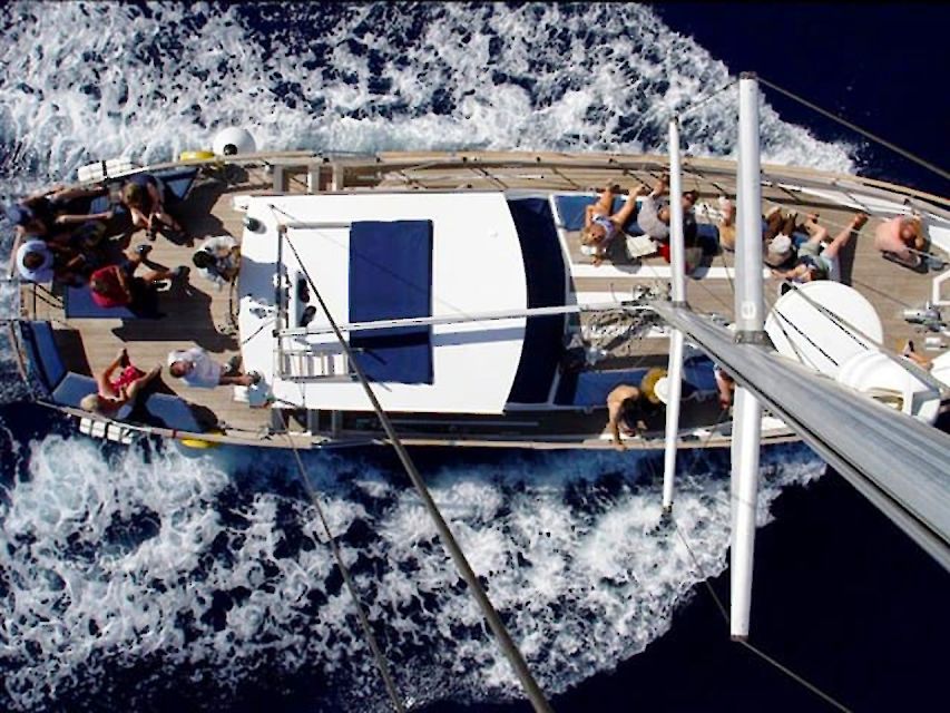Funchal: Dolphin and Whale Watching Sailing Trip - What the $47 price really includes