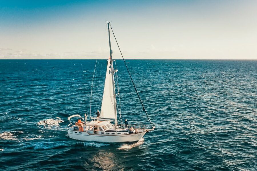 Funchal: Dolphin and Whale Watching Sailing Trip - Who will enjoy this Funchal cruise most