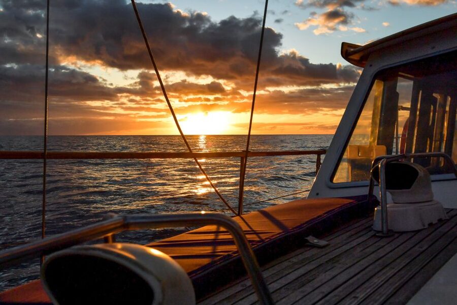 Funchal: Dolphin and Whale Watching Sunset Sailing Tour - Cabo Girão and the Atlantic swim stop
