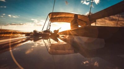 Dolphin and Whale Watching Sunset Sailing Tour