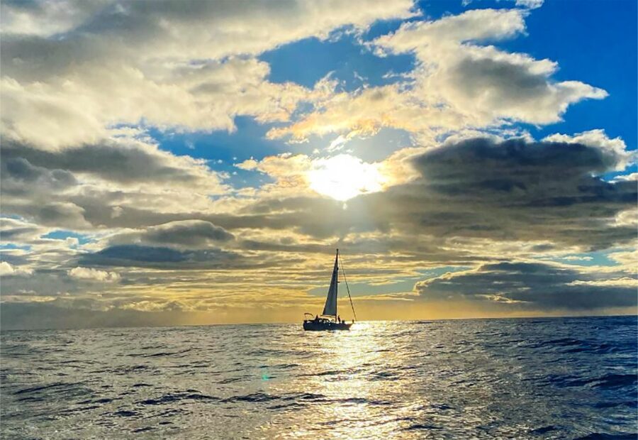 Funchal: Dolphin and Whale Watching Sunset Sailing Tour - Practical packing advice