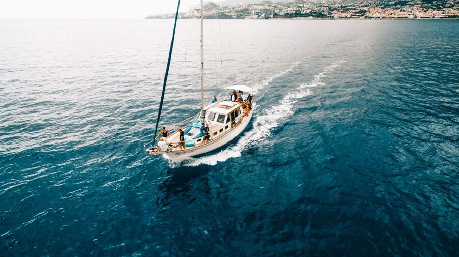 Funchal: Dolphin and Whale Watching Sunset Sailing Tour - Weather, cancellations, and planning