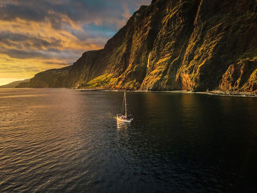 Funchal: Dolphin and Whale Watching Sunset Sailing Tour - Who will enjoy this tour most?