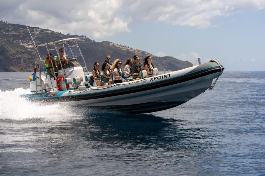 Funchal: RIB Whale Watching Cruise and Optional Dolphin Swim - At a glance: what makes this trip worth considering