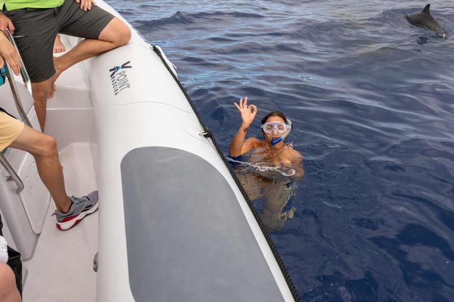 Funchal: RIB Whale Watching Cruise and Optional Dolphin Swim - The cruise along Madeira’s south coast