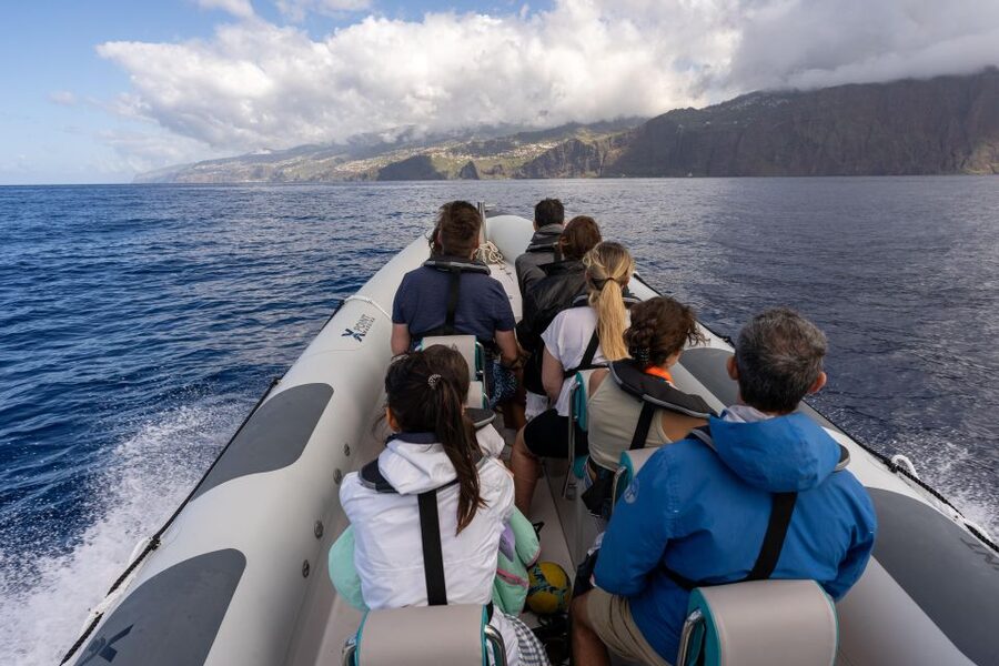 Funchal: RIB Whale Watching Cruise and Optional Dolphin Swim - The optional dolphin swim, with important limits