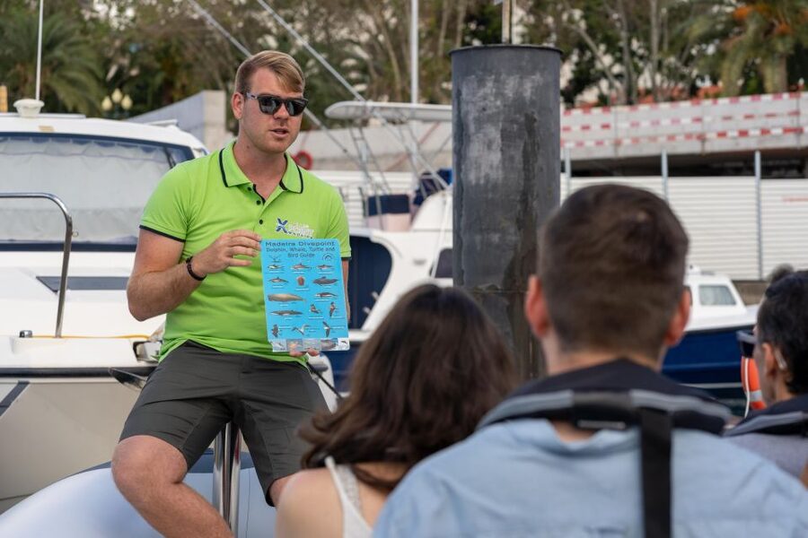 Funchal: RIB Whale Watching Cruise and Optional Dolphin Swim - Cabo Girão and the return to Funchal