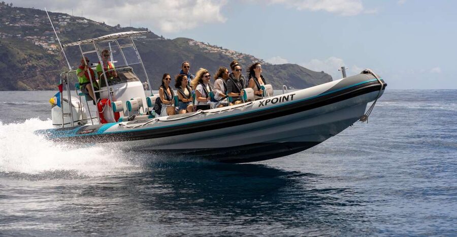 Funchal: RIB Whale Watching Cruise and Optional Dolphin Swim - Before you leave Funchal Harbour