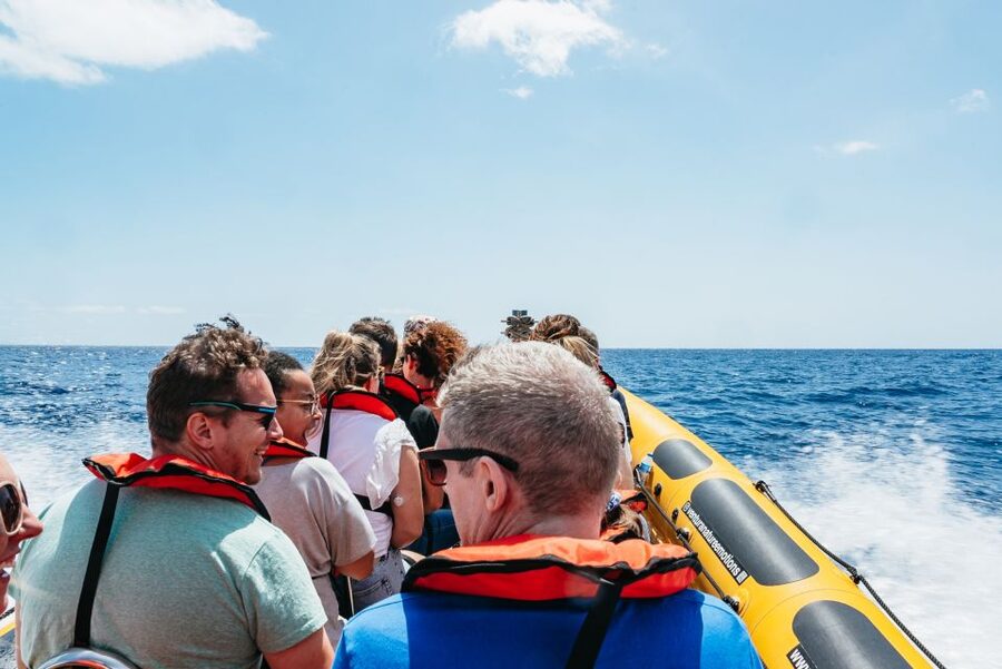 Funchal: Whale and Dolphin Watching Speed Boat Tour - Who should book this Madeira wildlife tour?