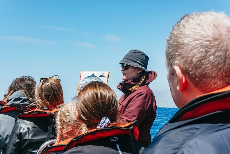 Funchal: Whale and Dolphin Watching Speed Boat Tour - A guide who helps you see more
