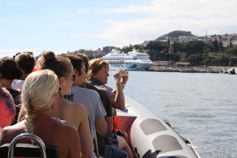 Funchal: Whale Watching and Swimming with Dolphins Cruise - Whale and dolphin sightings off Madeira