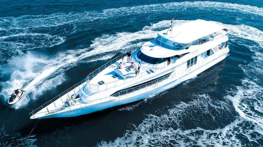 Gold Coast: Luxury Whale Watching Tour - Setting out from Mariner’s Cove