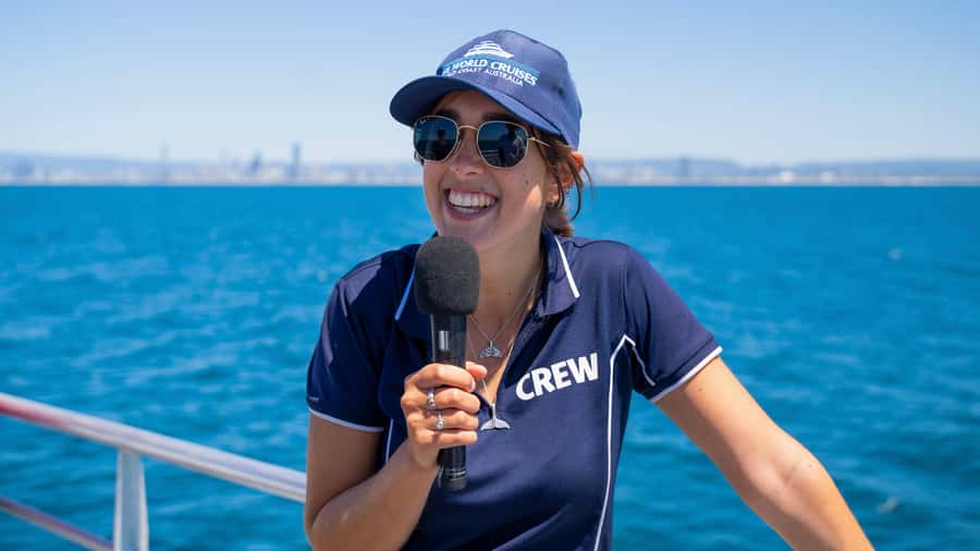 Gold Coast: Premium Whale Watching Cruise - Who should book this experience