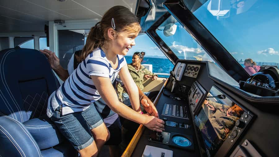 Gold Coast: Premium Whale Watching Cruise - What you might see beside the boat