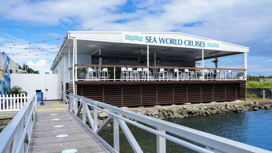 Gold Coast: Premium Whale Watching Cruise - Choosing the best departure time
