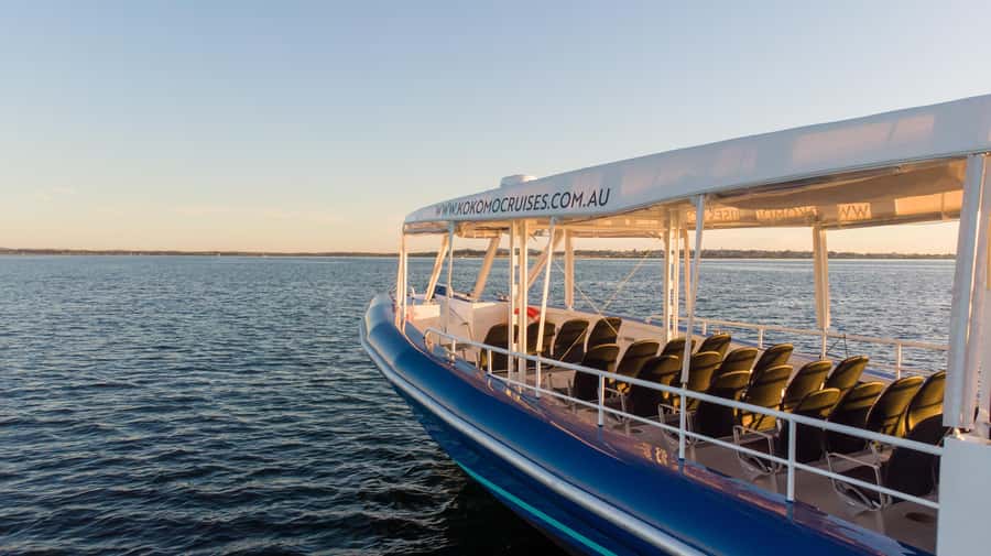 Gold Coast Whale Experience - The crew and the value of live commentary