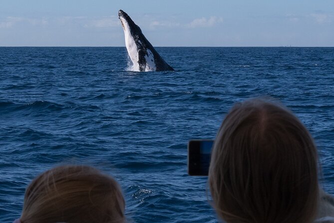 Gold Coast Whale Watching Cruise - Leaving Main Beach for the open water