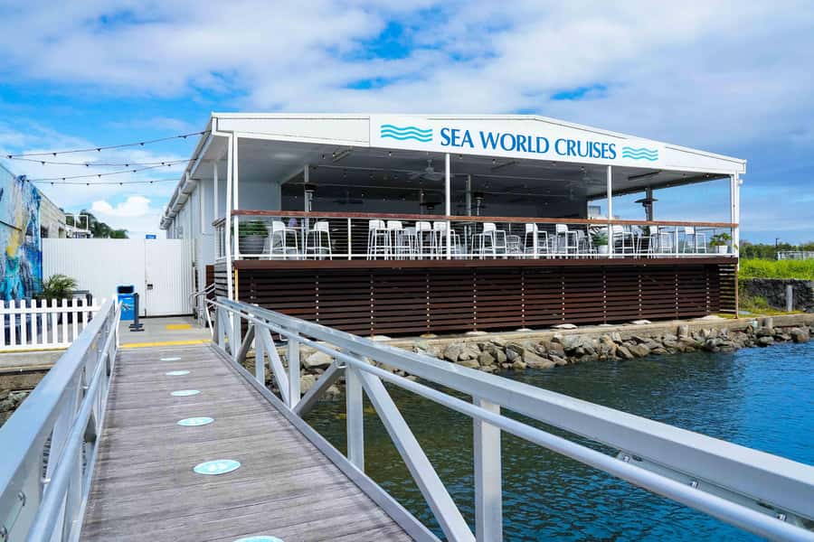 Gold Coast: Whale Watching Cruise & Sea World Entry - A whale cruise along the Gold Coast’s Humpback Highway