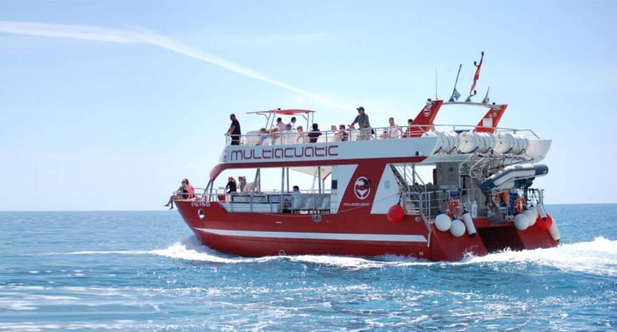 Gran Canaria: Dolphin and Whale Watching Cruise - Key points at a glance