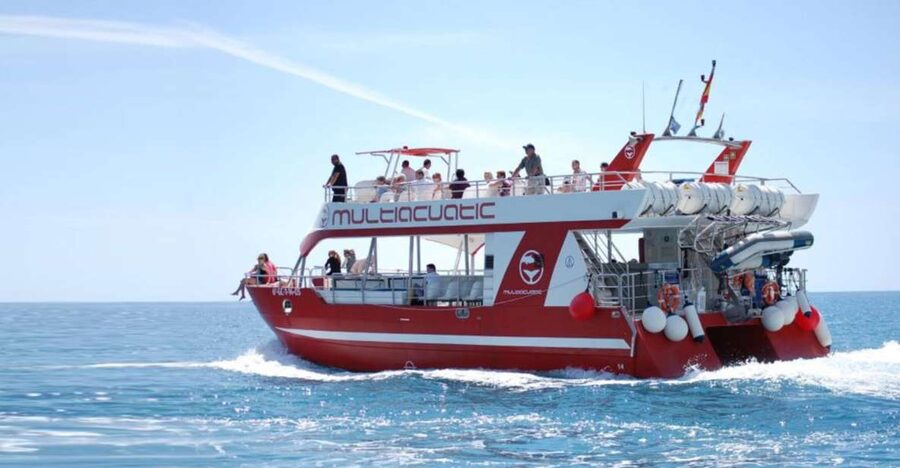 Gran Canaria: Dolphin and Whale Watching Cruise - What you may see between Maspalomas and Veneguera