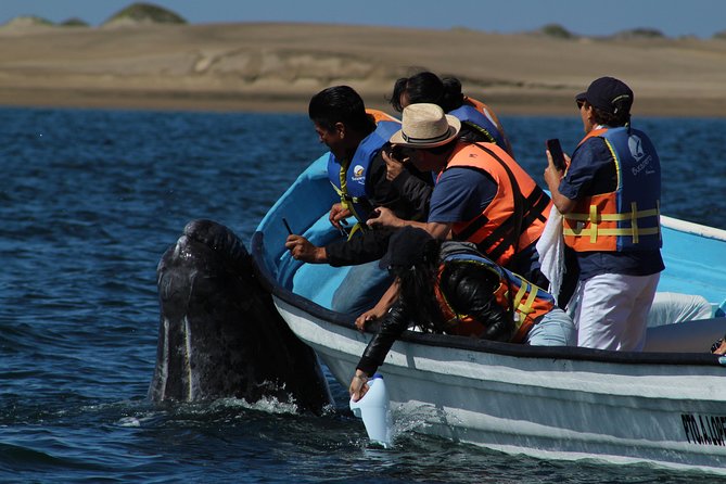 Gray Whale-Watching 2-Day Experience in Magdalena Bay - The guesthouse: local, simple, and part of the bargain