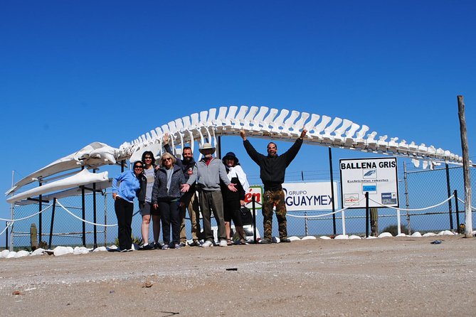 Gray Whale-Watching 2-Day Experience in Magdalena Bay - Is $799 a fair price?