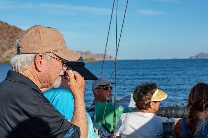 Gray Whale Watching Tour at Lopez Mateos - The Early Start From Loreto