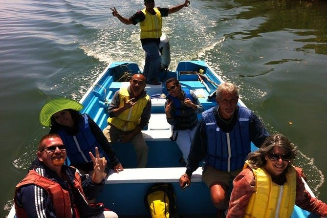 Gray Whale Watching Tour at Lopez Mateos - What You May See During the Whale Search