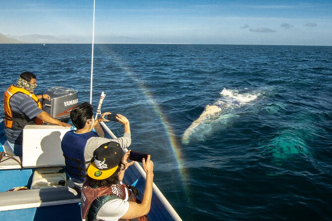 Gray Whale Watching Tour with Marine Biologist and Small Group - The 2-hour-15-minute road to Puerto Chale