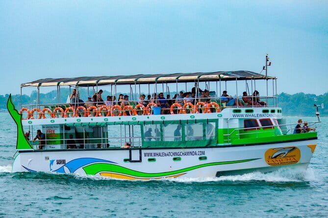 Great Whales Education Programe Dolphins and Whales are in SL - Is $25 good value for one hour?