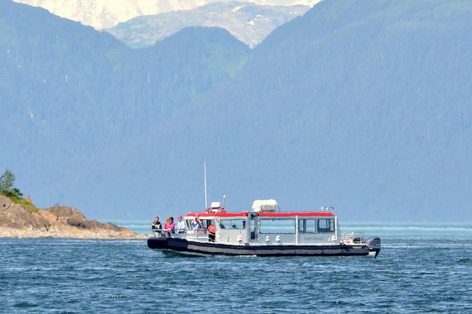 Guaranteed Whale Watching Adventure - What the small boat changes
