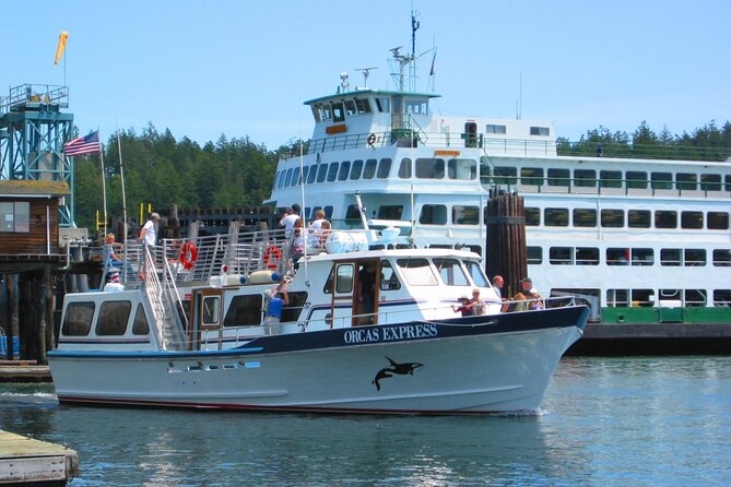 Guaranteed Whale Watching Tour - The $119 price and the whale guarantee
