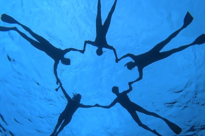 Guided Small Group Whale Watching and Swim Tour Tahiti - What entering the water is really like