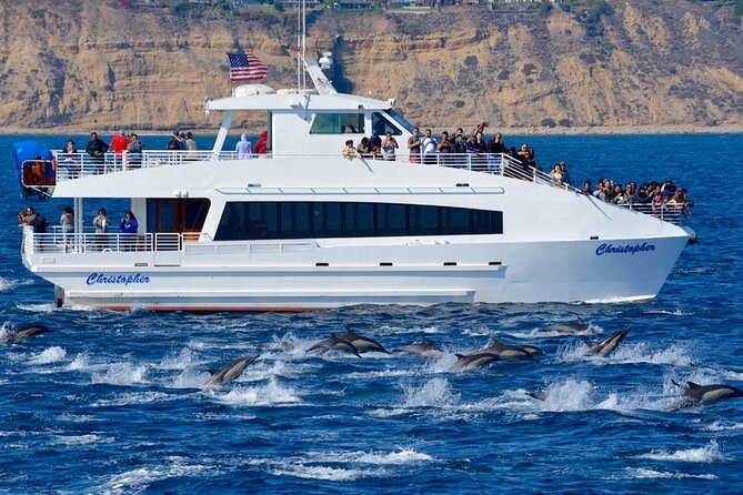 Guided Whale Watching Tour from Long Beach - A stable catamaran with room to move